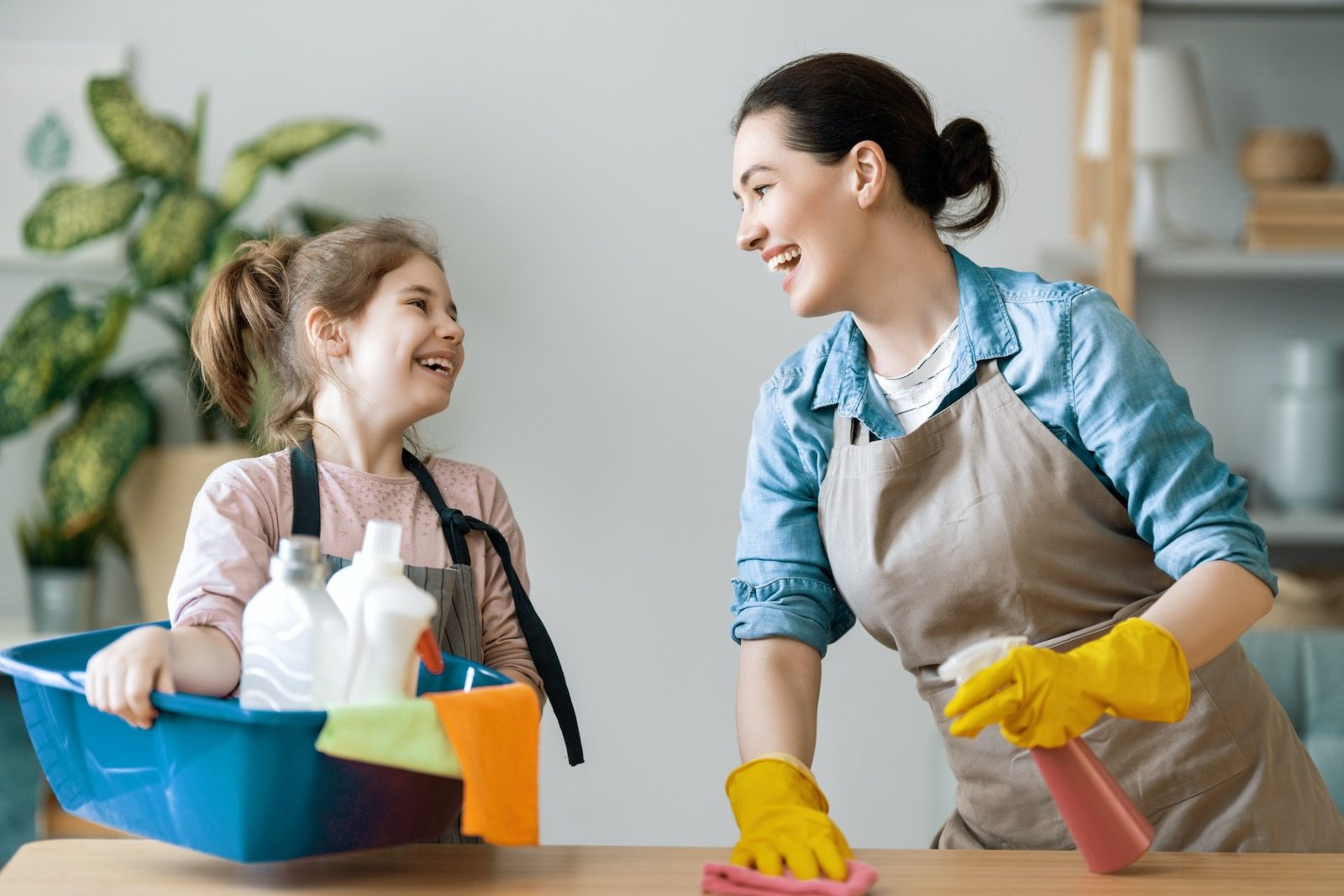 How Our Service Can Help You Prepare for Guests and Celebrations